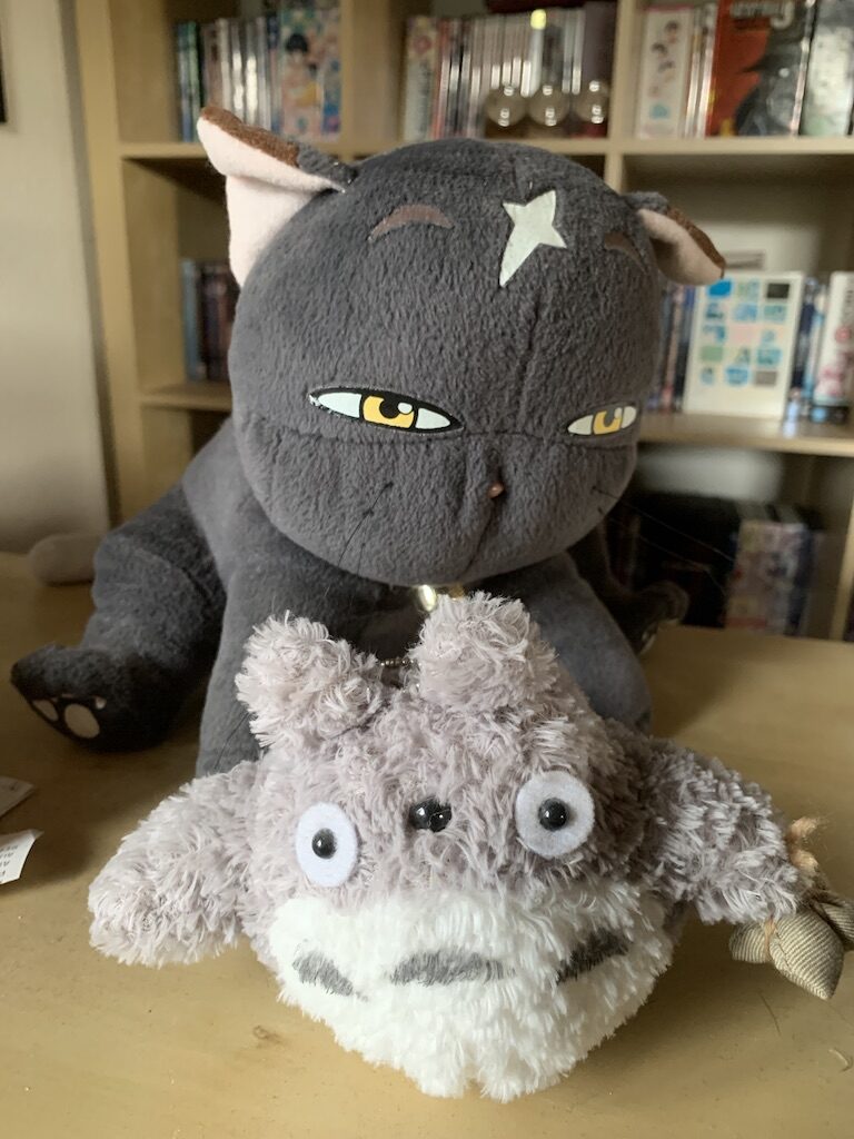 Mikoto fra MyOtome og en fluffy Totoro