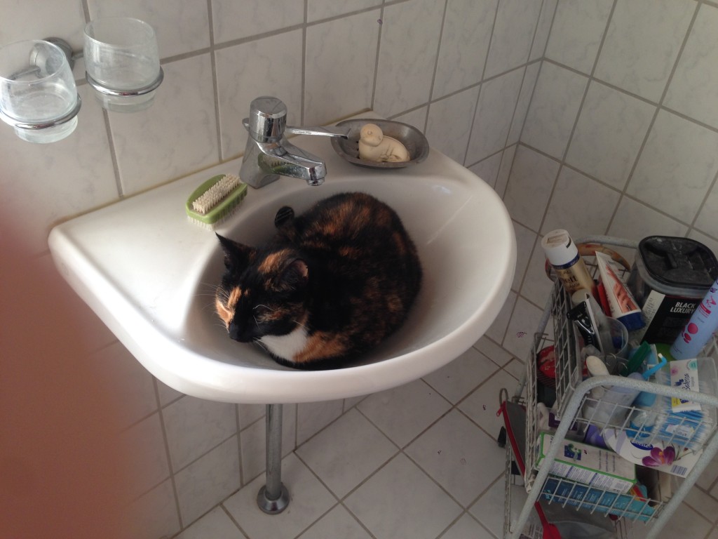 Felicia i håndvasken