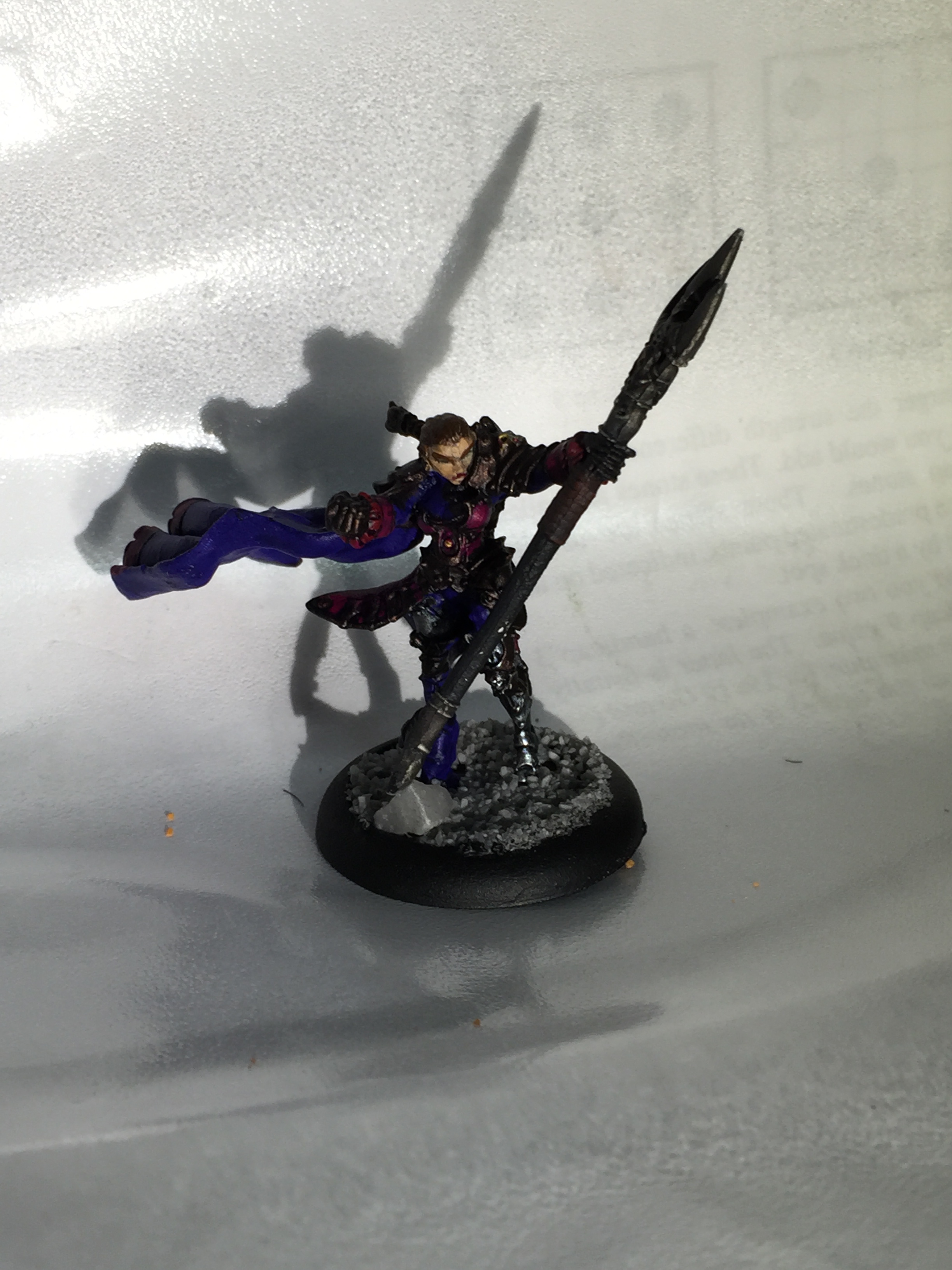 Warmachine: Mercenaries - Fiona the Black