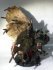 Warmachine: Cryx - Lich Lord Terminus