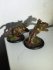 Hordes: Circle Orboros - Classic Argus
