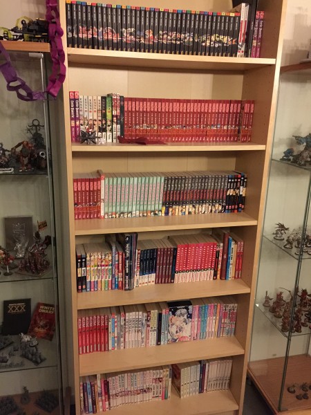 Vores mangaer 2016
