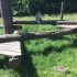 Givskud Zoo - Abe