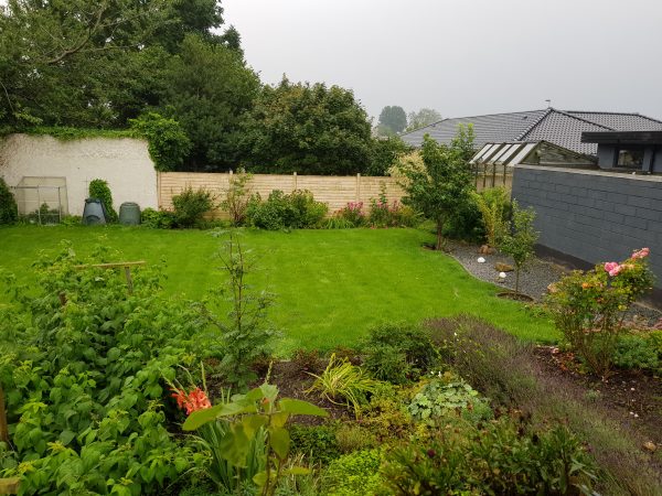 Vores baghave sommer 2017