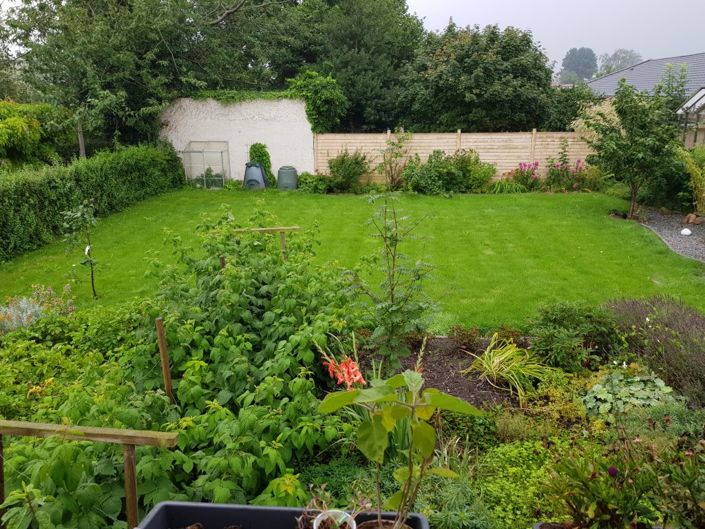 Vores baghave sommer 2017