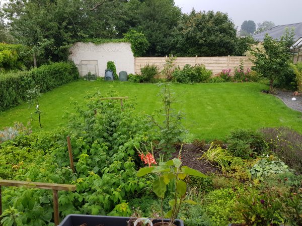 Vores baghave sommer 2017