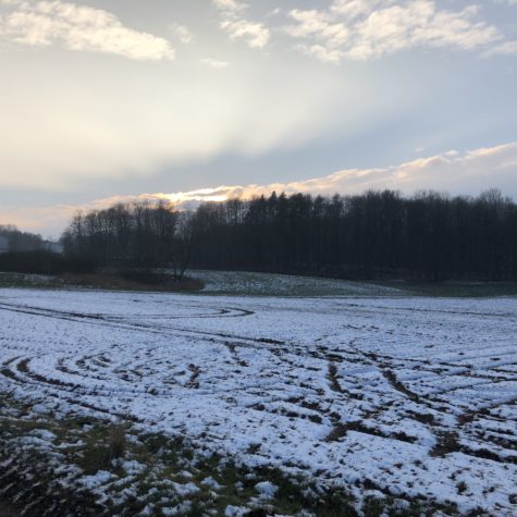 Vinter i Harzhof 2018