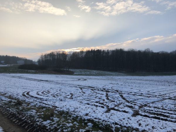 Vinter i Harzhof 2018