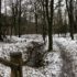 Vinter i Holtsee 2018