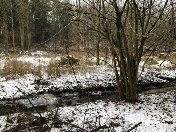 Vinter i Holtsee 2018