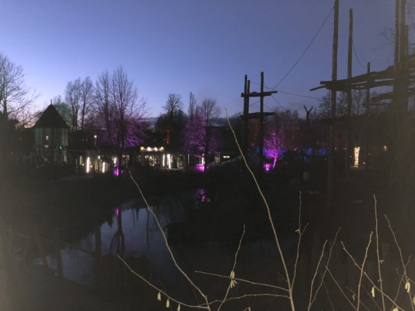 Lysaften i Odense Zoo 24/2/2018