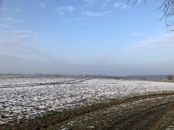 Vinter i Harzhof 2018