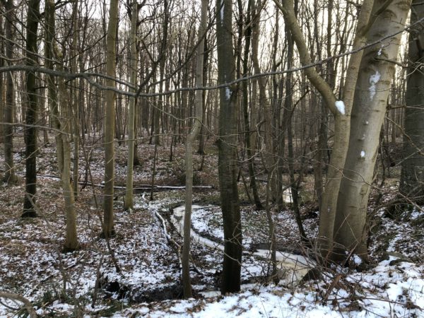 Vinter i Harzhof 2018