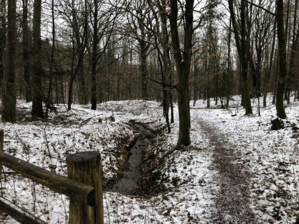 Vinter i Holtsee 2018