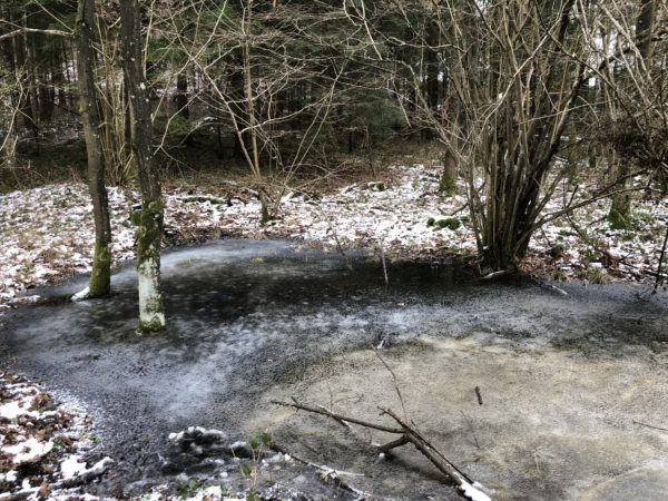 Vinter i Holtsee 2018