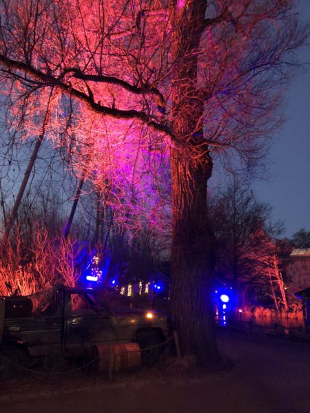 Lysaften i Odense Zoo 24/2/2018