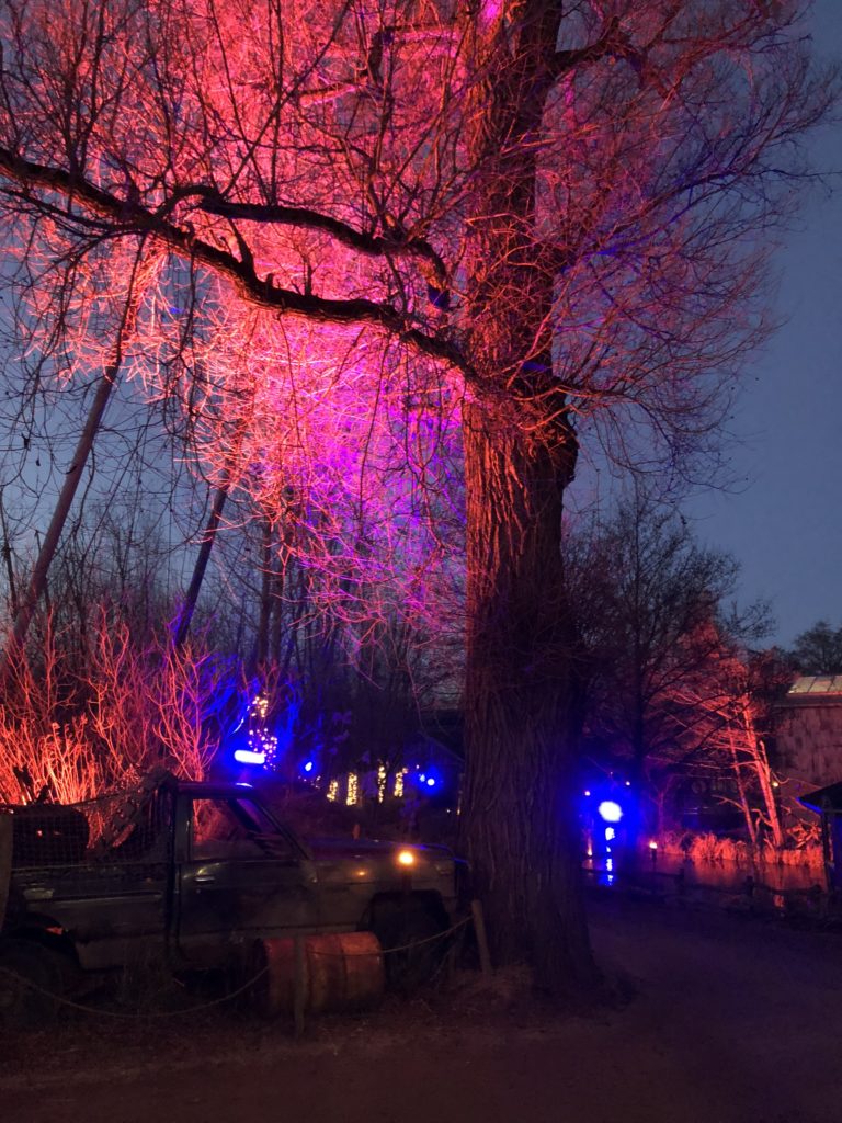 Lysaften i Odense Zoo 24/2/2018