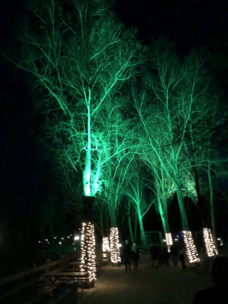 Lysaften i Odense Zoo 24/2/2018