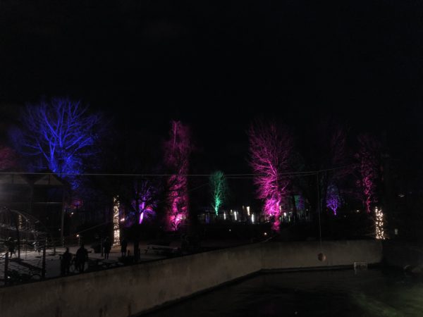 Lysaften i Odense Zoo 24/2/2018