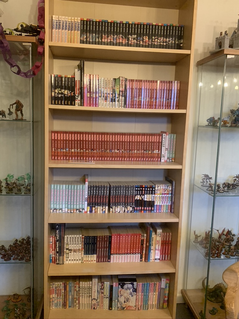 Vores mangaer forår 2020 - reol 2