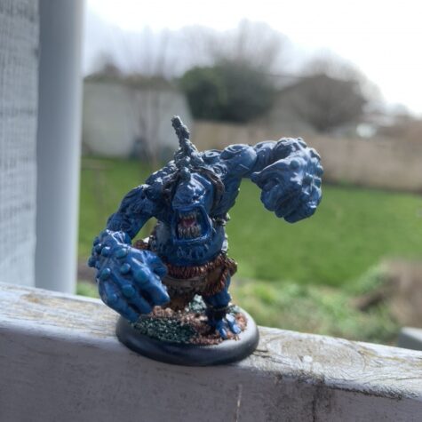 Trollbloods Storm Troll [Hordes]