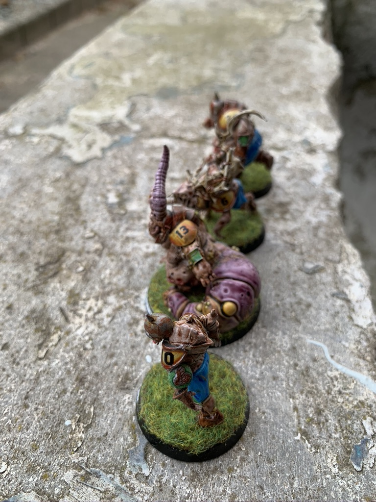 Bloater, pestigor, rotter og rotspawn, Pradeshynya Postules, Nurgle Rotters [Blood Bowl]