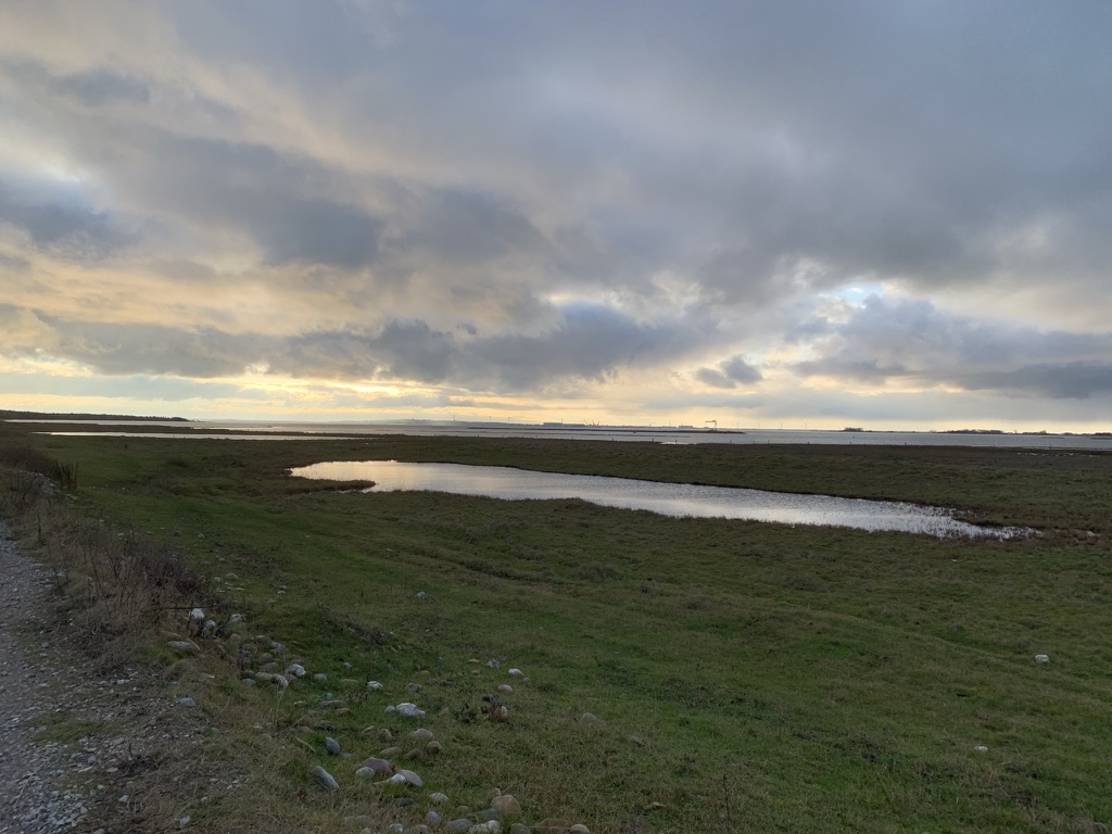 Tur til Enebærodde januar 2021